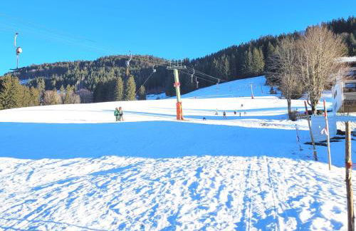 Bergflügel Fewo, Schwimmbad, Sauna, Skilift - Foto 25