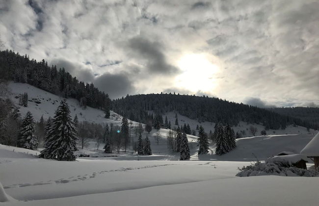 Charming Holiday Home in La Bresse Skiing Area - Photo 13