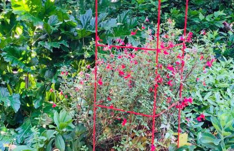 Charming Garden Cottage - Photo 24