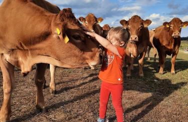 Valentinushof - Foto 22