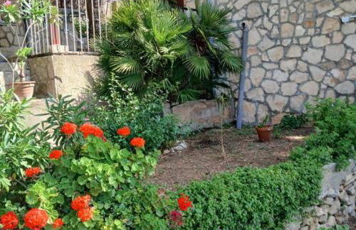 Apartmani Green Oasis - Foto 2