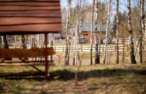 Apartamenty Białe Brzozy - Photo 49