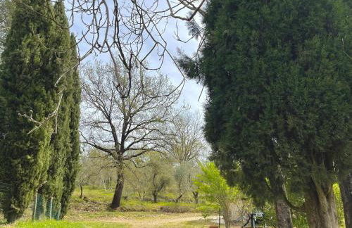 Agriturismo, Casa Borgo - Foto 53