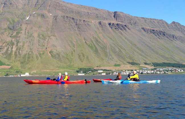 Tour de caiaque pela baía de Isafjordur - Foto 2