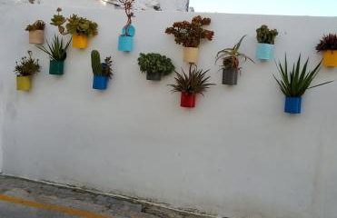 Casa Las Niñas - Foto 61