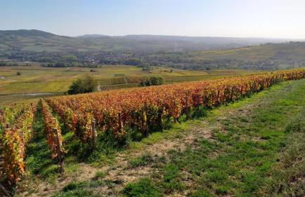 Appartement Indépendant Chagny - Foto 38