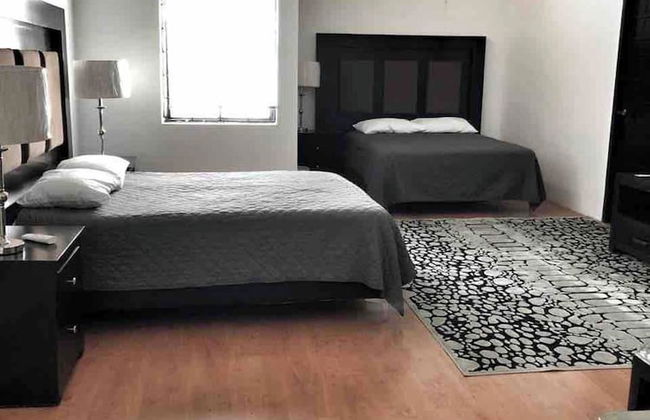 10- Large Suite for 4 People - Photo 2