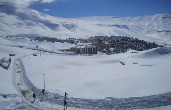 Cedars Palace - Foto 24