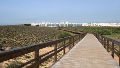 Amazing Apartment with swiming pool - Photo 4