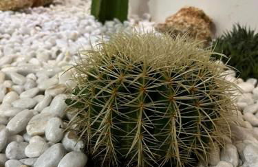 Brisa Marina Suites - Foto 35