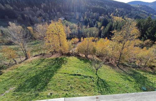 Maison de montagne vue magnifique - Foto 19