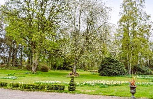 Reidochie Stables luxury haven overlooking garden - Photo 3