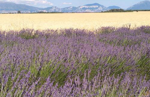 La Provence vous Attend***!!! - 1er étage - Foto 30