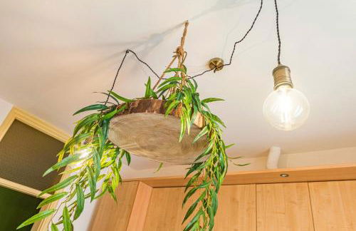 Novalesi Vintage interno 1 - Foto 10