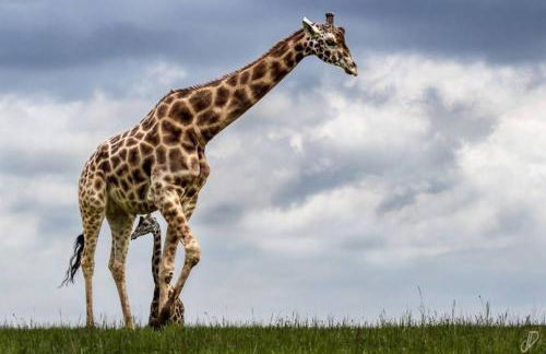 El Mirador de Armaño G-10235 - Foto 45