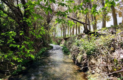 Complejo Apartamentos Rurales Molino de Abajo - Foto 25