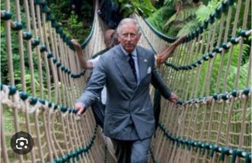 Corner Cottage Mevagissey - Foto 29