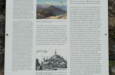 Nibelungen 4 Zimmer Apartment - Foto 59