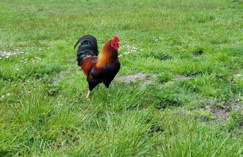 Atelier du chateau - Foto 26