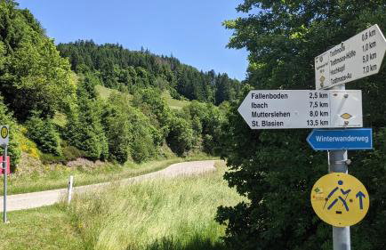 Ferienwohnung Sonnen Strahl - Photo 17