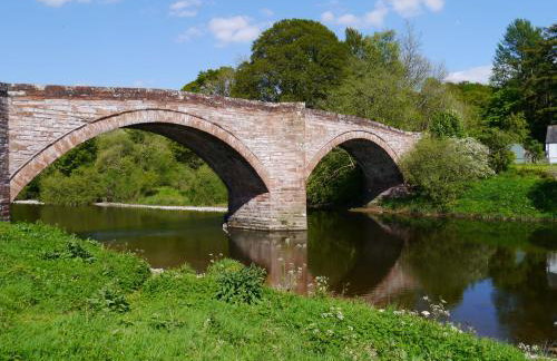 Shinnel House - Foto 34