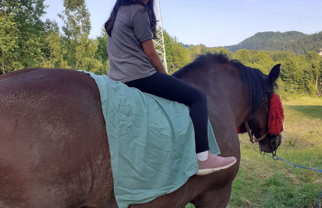 Room in Guest Room - Healthy Retreat Holiday in Mountain - Foto 3