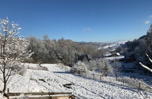 Pasieka - Dom Wypoczynkowy - Foto 52