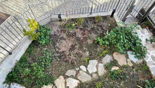 Die Weinrose - Natura Lago Monti - Foto 5