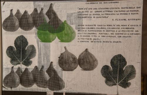 Masseria La Fica - Foto 21