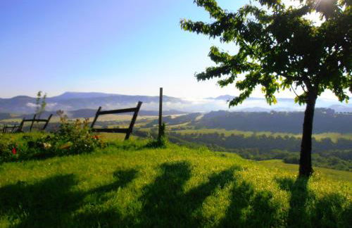 appartamento Colticciola Agriturismo Marche - Foto 17