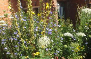 radlerunterkunft Grabau Nr.1 - Foto 26