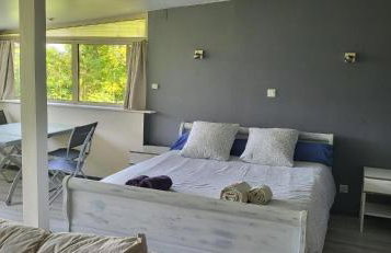 Le Coq De Champagne - Photo 7