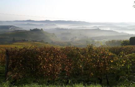 Casa Nalin - Photo 29