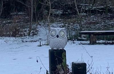 Owlswood Apartments - Foto 34