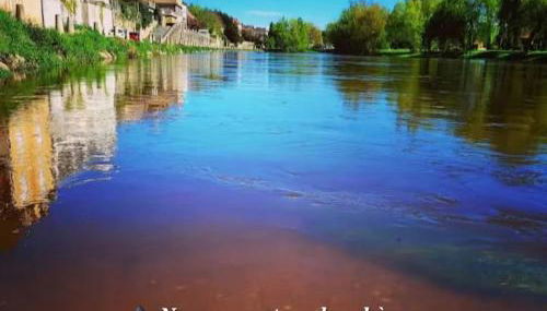 La Buguoise - Foto 3