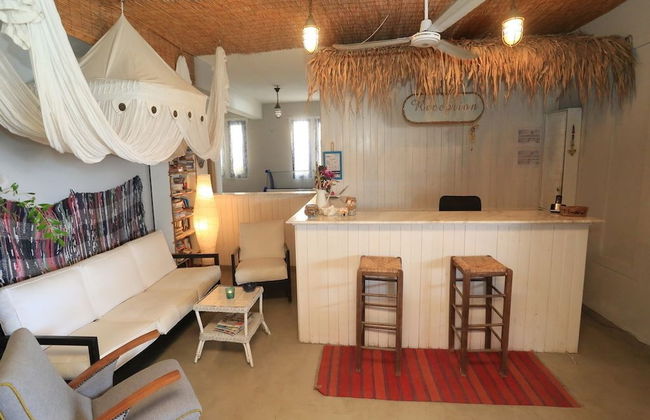 Nemo Studios - Foto 2