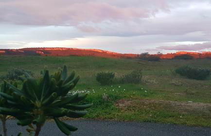 BAMBOU NATURE - Foto 23