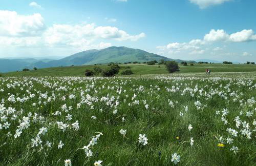 Casa La Gorga - Foto 39