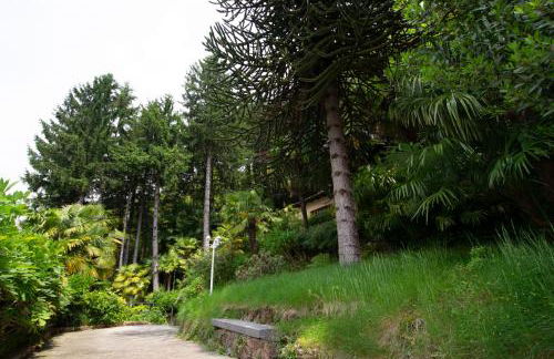 Villa Rina Deluxe and Cottage - Photo 38