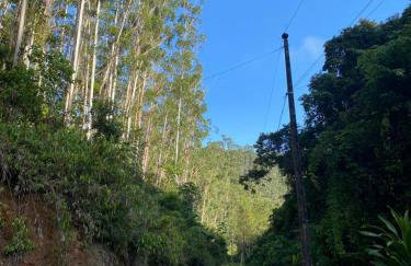 Sitio do Marinho em Nova Trento - Foto 12