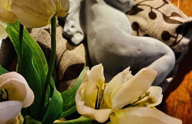 Ferienhaus Oppach - Foto 20