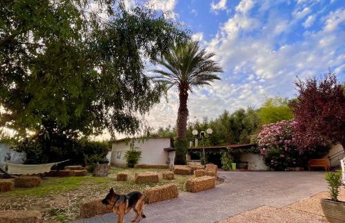 Donna Vittori - Borgo Agricolo - Foto 55