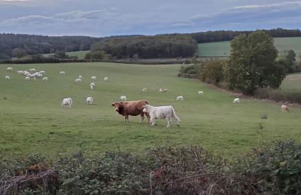 Grand Chalet - Foto 28