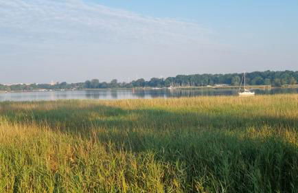 Fewo Usedom Peene Idyll - Foto 40