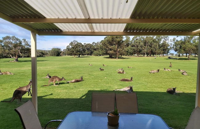 Kalgan River Chalets and Caravan Park - Foto 31