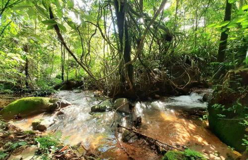Casa de campos são Francisco Xavier Xavier - Foto 47