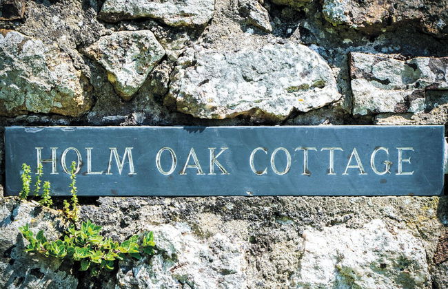 Holm Oak Cottage - 3 Bed - Reynoldston - Foto 60