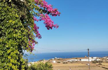 Θέα - Thea - Foto 8