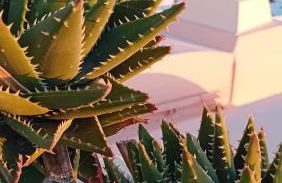 Santorini Ethereal Blue Suites - Foto 6