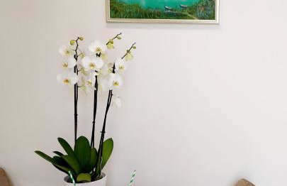 Apartman Tonći - Foto 9